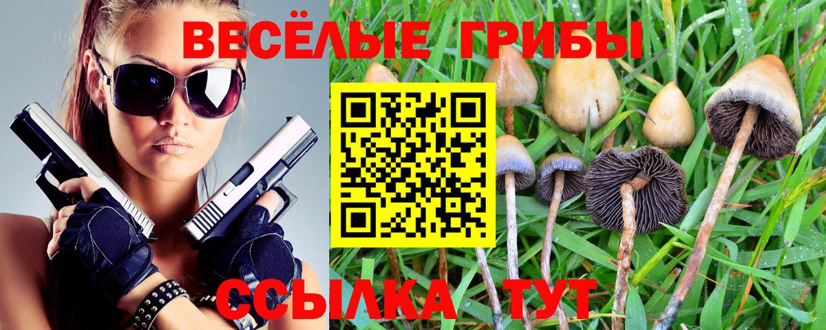 Тосно  Галлюциногенные грибы Psilocybine cubensis  Вход с VPN 