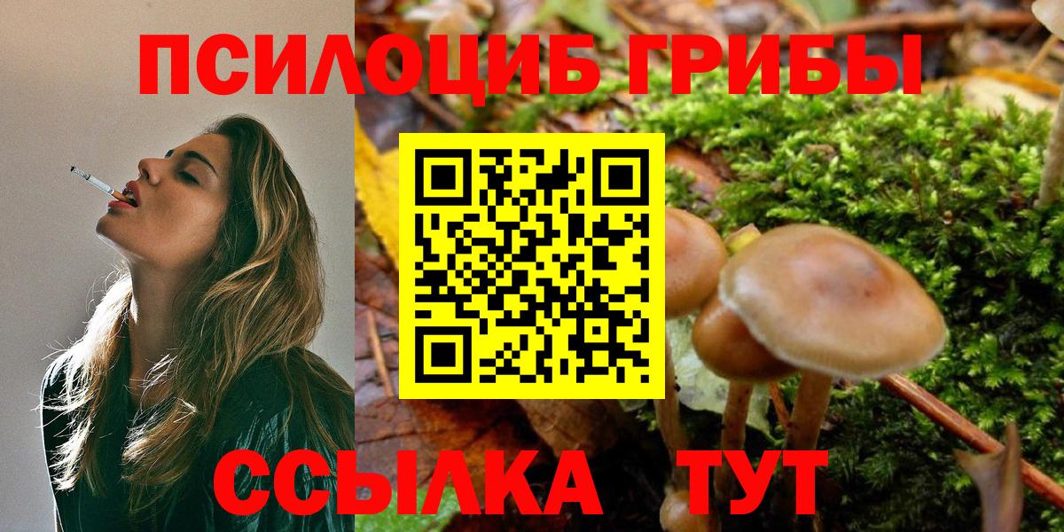 Псилоцибиновые грибы ЛСД Тосно